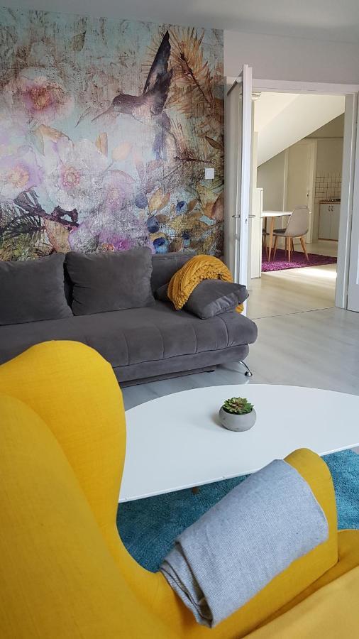 Promenad Apartman Мохач Экстерьер фото
